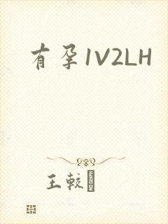 有孕1V2LH