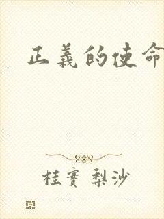 正义的使命小说