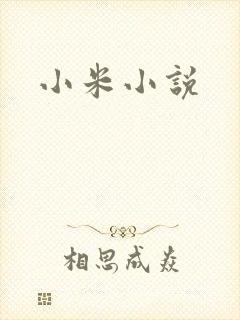 小米小说