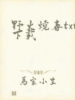 野火烧春txt下载