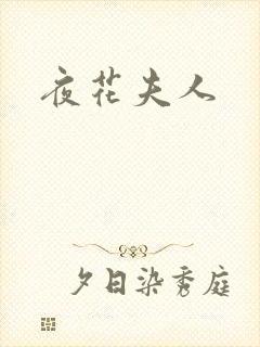 夜花夫人
