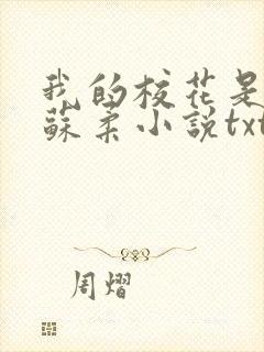 我的校花是福姬苏柔小说txt