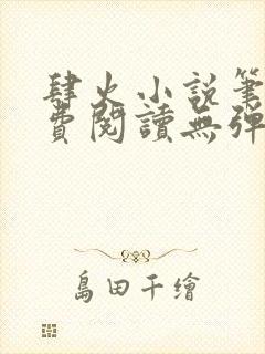 肆火小说笔趣免费阅读无弹窗