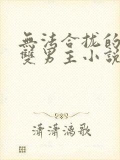 无法合拢的总裁双男主小说