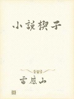 小说楔子