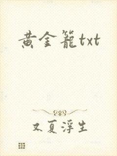 黄金笼txt