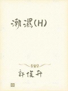 潮湿(H)