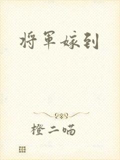 将军嫁到