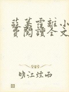 苏莱霍离小说免费阅读全文