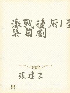 激战后厨1至5集日剧