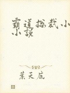 霸道总裁小娇妻小说