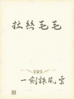 拉丝毛毛