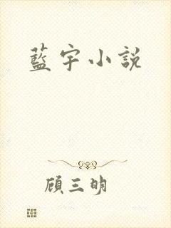 蓝宇小说