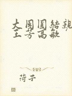 大团圆结亲情会王芳高敏