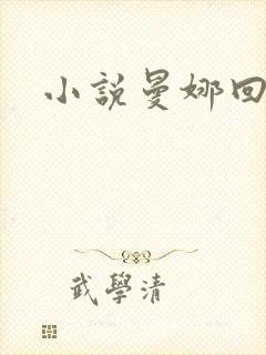 小说曼娜回忆录