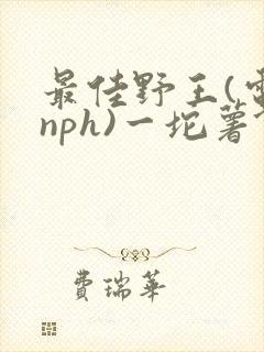 最佳野王(电竞nph)一坨薯饼