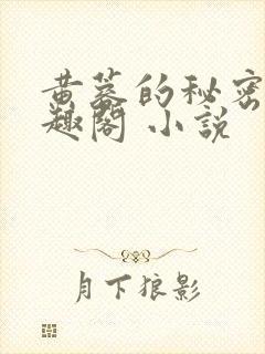 黄蓉的秘密 笔趣阁 小说