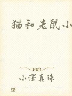 猫和老鼠小说