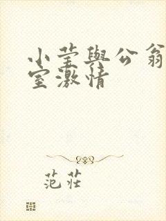 小莹与公翁办公室激情