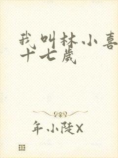 我叫林小喜今年十七岁