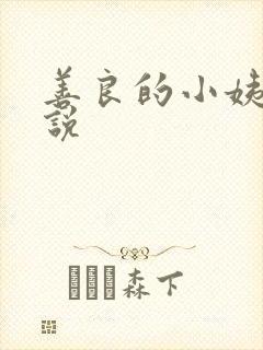 善良的小姨子小说