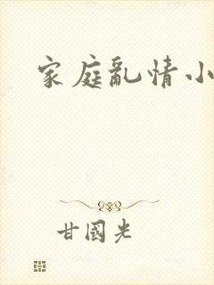 家庭乱情小说封面