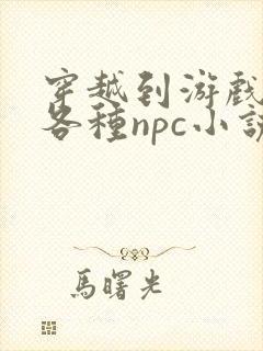 穿越到游戏里和各种npc小说