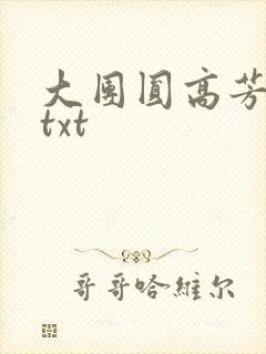 大团圆高芳小说txt