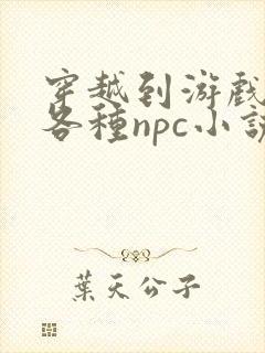 穿越到游戏里和各种npc小说