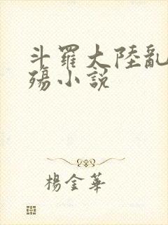 斗罗大陆乱世浮殇小说