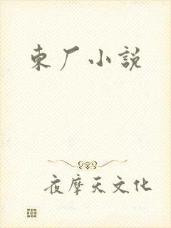 东厂小说