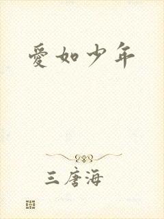 爱如少年