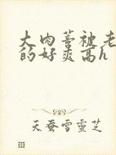 大肉蒂被老头嘬的好爽高h