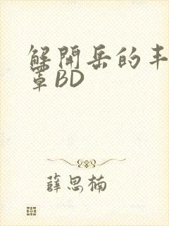 解开岳的丰满奶罩BD