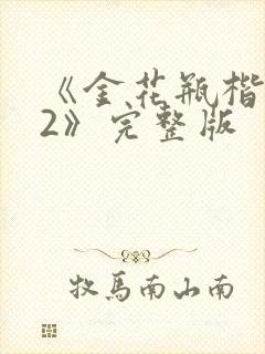 《金花瓶楷梅花2》完整版