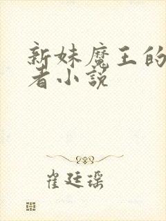 新妹魔王的契约者小说