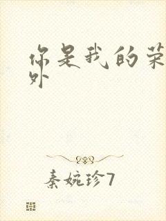 你是我的荣耀番外