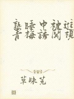 熟睡中被进了H青梅诱哄视频