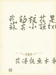 我的校花是福姬苏柔小说txt