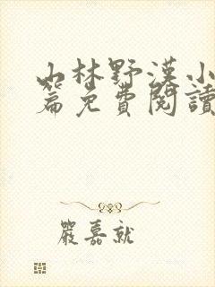 山林野汉小说全篇免费阅读