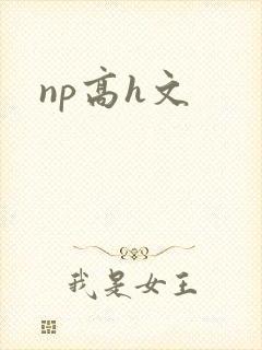 np高h文