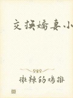 交换娇妻小说