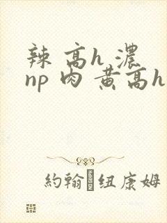 辣 高h 浓 np 肉 黄高h
