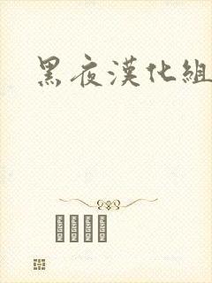 黑夜汉化组