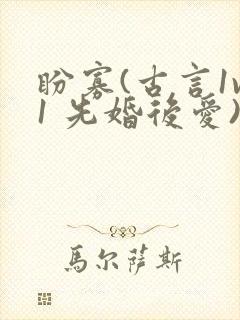 盼寡(古言1v1 先婚后爱)荔枝好多