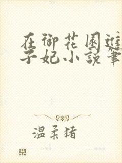 在御花园进入太子妃小说笔趣阁