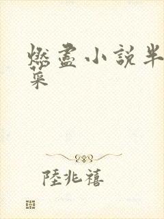 燃尽小说半截白菜