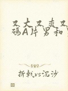 又大又爽又黄无码A片男和男