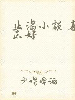 止渴小说 春光正好