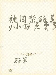 被囚禁的美人by小说免费阅读